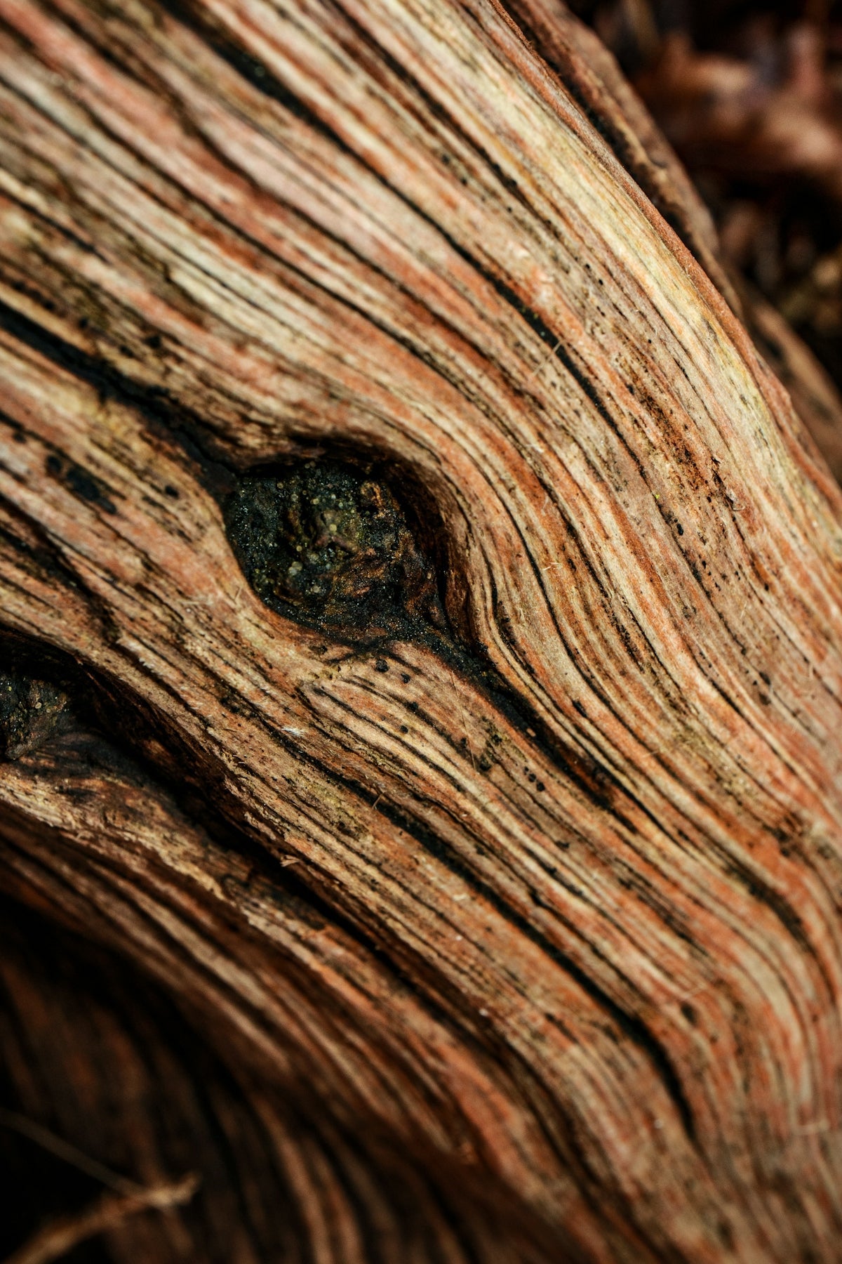 Close-up of a handcrafted oak wood surface showing natural grain and premium oil finish